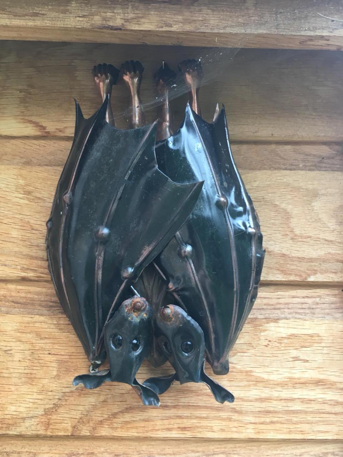 Barn bats and cobwebs