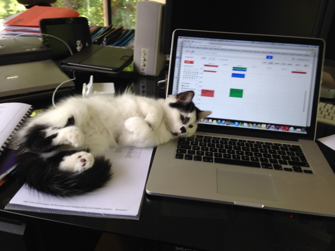 Freddie and keyboard WT