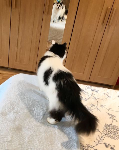 Freddie Just Checking