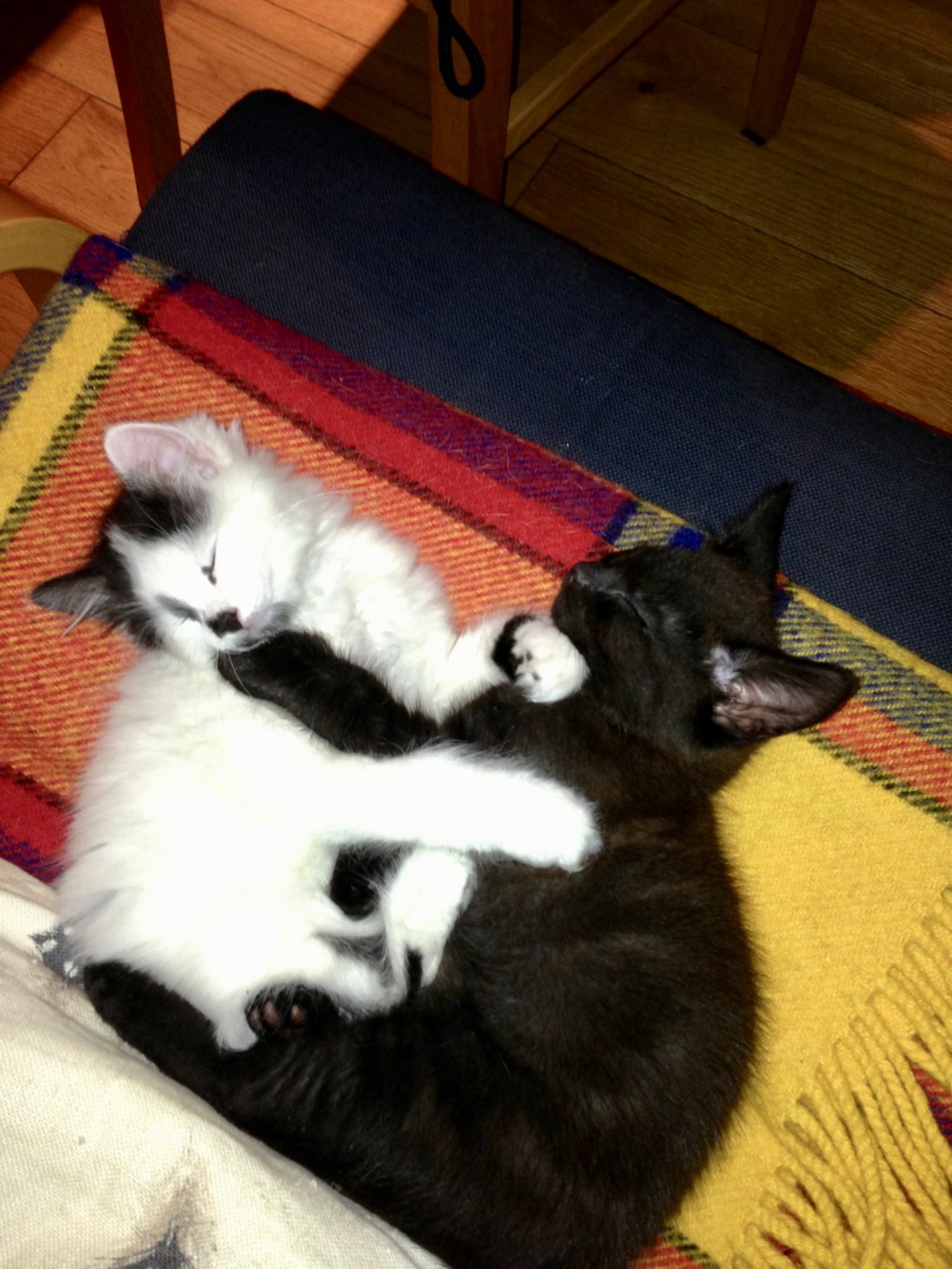 Young Freddie and Moses playing