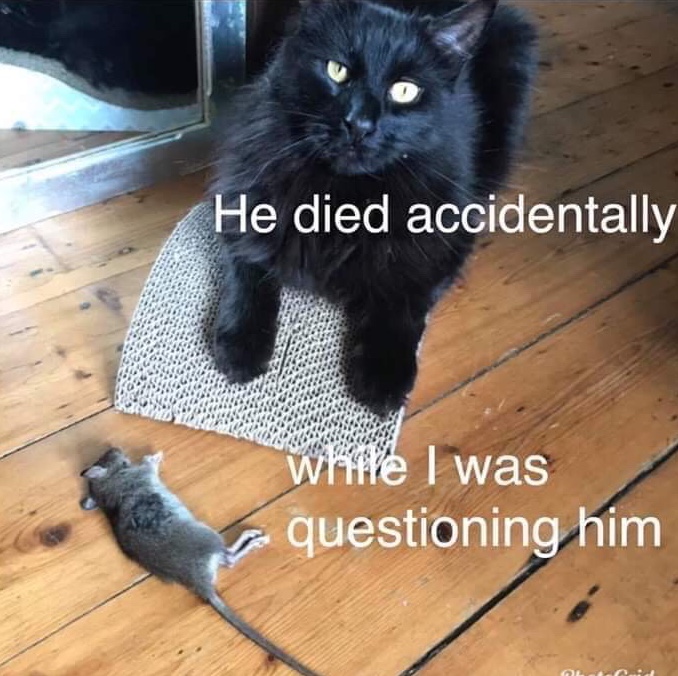 ed94013d-6852-42db-8573-9b2dbae41ed0