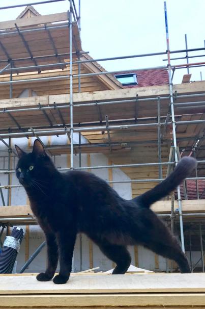 24f66610-8c75-417a-b350-0b0033e6999d