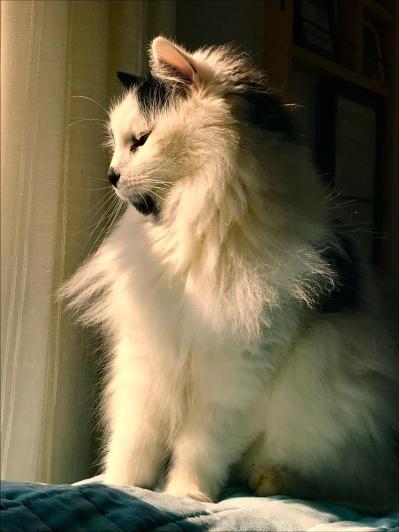 4e75cb18-949a-4b15-b47b-048f6fcf5643