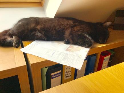 fba40fb6-28ed-4554-97ce-027d1cae5e02