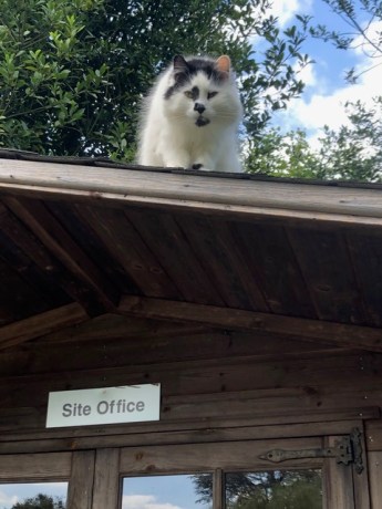 Freddie Site Office 2