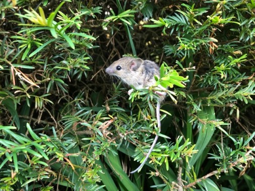 The one that got away