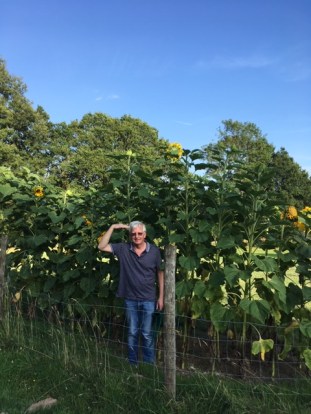 05.08 I see no ships