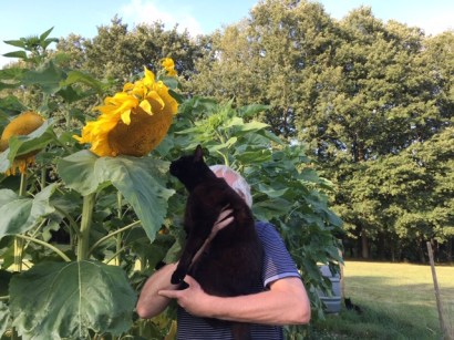 05.08 Moses Admiration