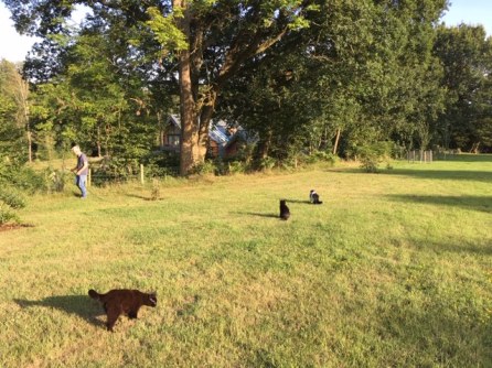 05.08 Out with Mr Rod