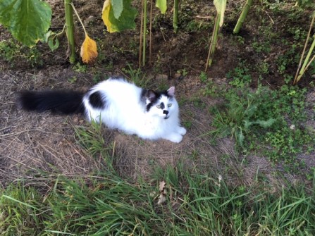 05.08 Freddie thinking.JPG