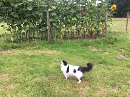 08.08 Let me see now