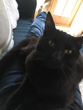 Moses 2 Young Master 9 sep