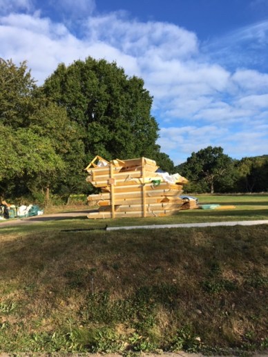 Roof beams 13 Sep.JPG