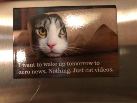 c33d209f-4a77-4314-a292-60cc1f9f8ae3