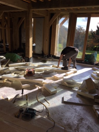 Int. 6 Nov Insulation 3.JPG