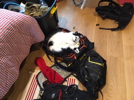 Freddie amomng the ski wear 2.JPG