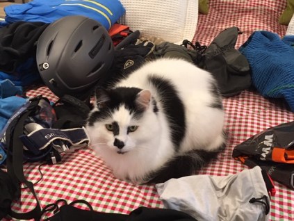 Freddie among the ski wear 1.JPG