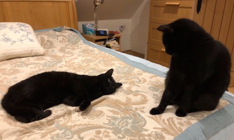 Possession is 9:10 of law