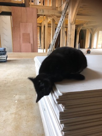 Inside 08.02 Plasterboard 2