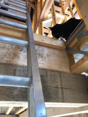 Inside 10.02 Final days of temp stair 1