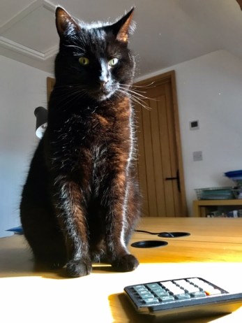 Moses on the calculator