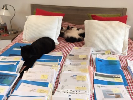 Freddie &amp; Layla relaxing after filing