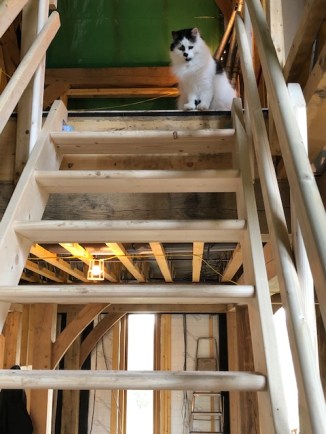 Freddie Stairway to heaven