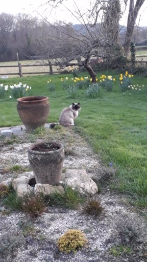 Minty is unconcerned