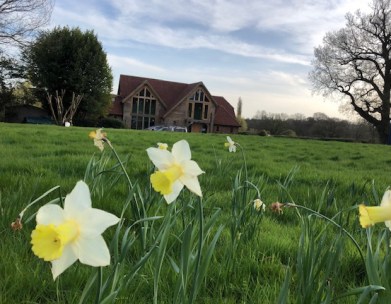 Outside 22.03 Spring has arrived