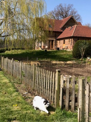 Outside 28.03 Freddie Coming