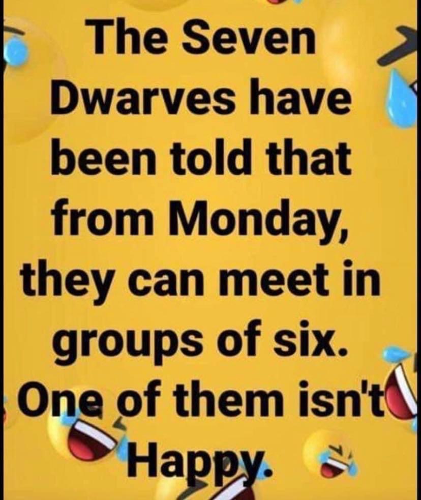 7 dwarves