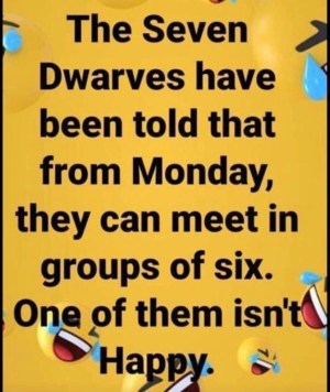 7 dwarves
