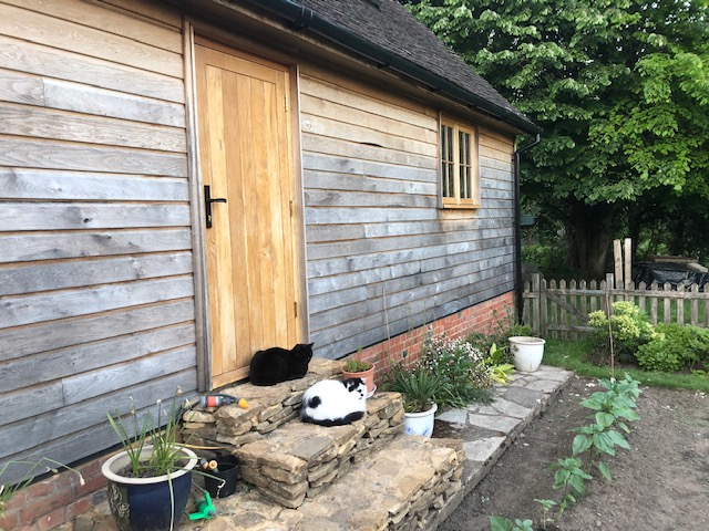 Admiring the veg patch