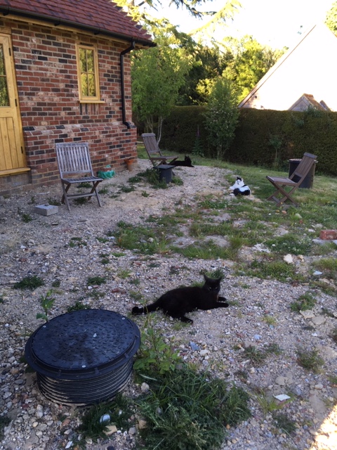 Outside Trenches 20.05 4