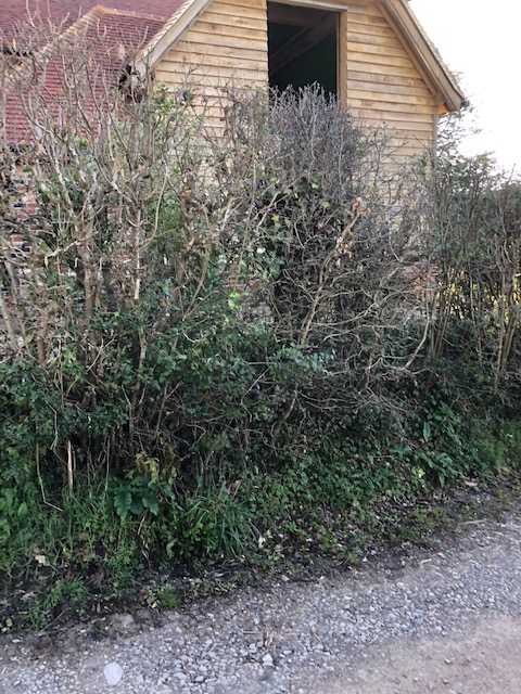 Outside Windows W 2 26.03