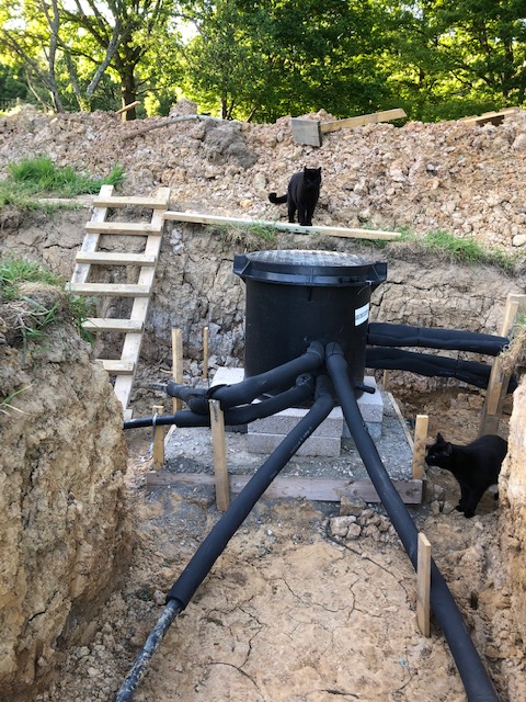 Two blacks and spider