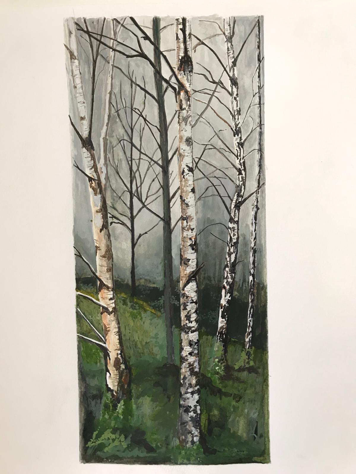 Birch Picture