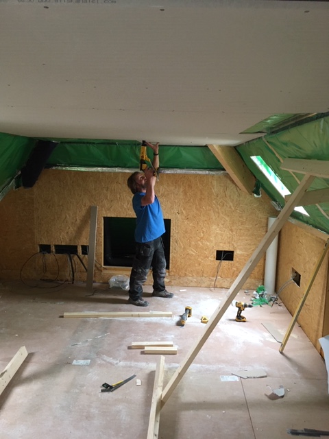 Plaster Board 17.06 Study