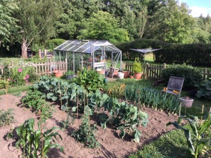 Veg Garden 05.07 1