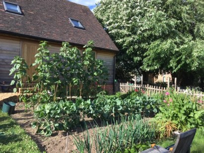 Veg Garden 05.07 3