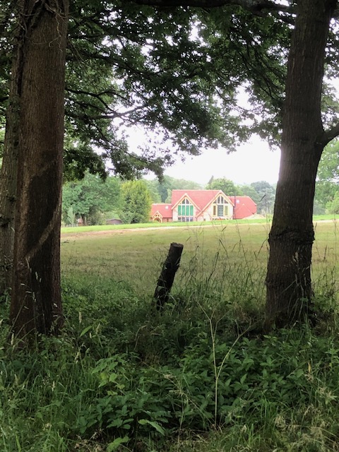 View from wood 03.07