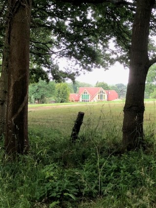 View from wood 03.07