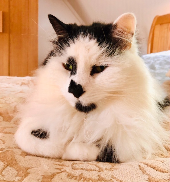 Freddie Looking beautiful