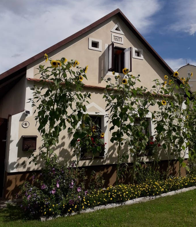 Southern Bohemia Sunflowers