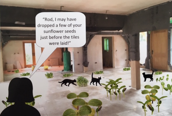 Mr Rod Card Sunflowers