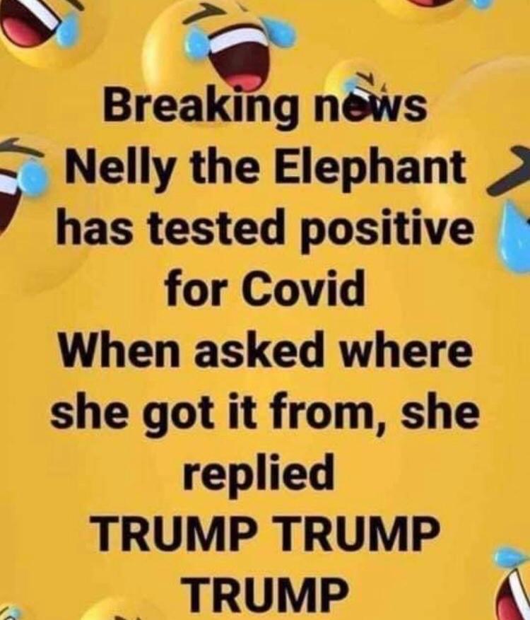 Nelly the Elephant