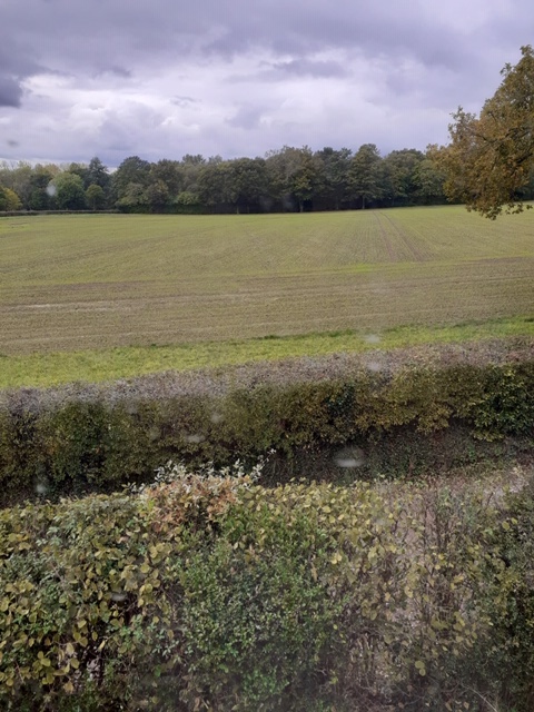 Scandi View From 13.10.20 GG