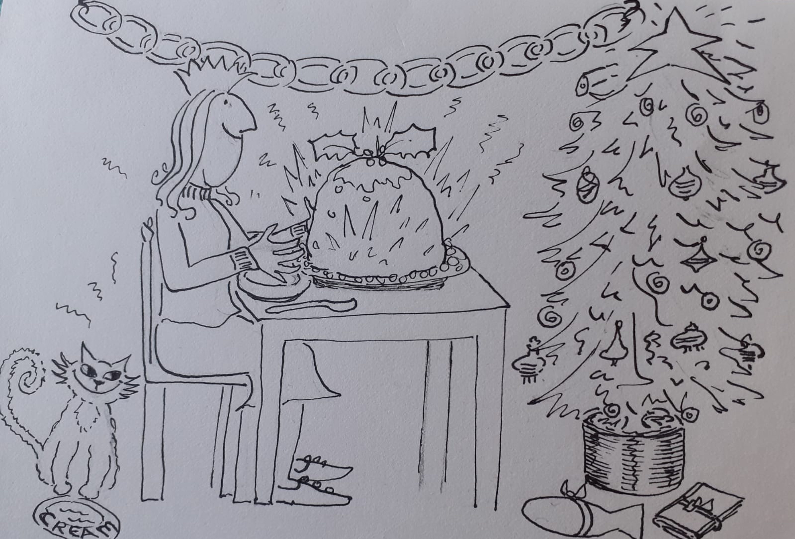 Chritsmas Lunch for cats