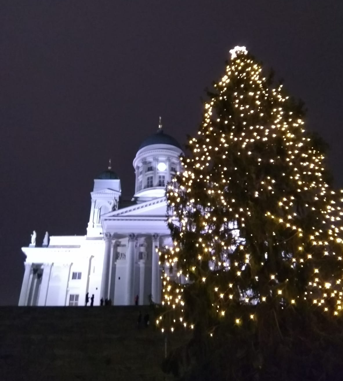 Helsinki Tree